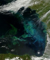 Swirls of green turquoise and cyan in the water show a substantial and long-lasting bloom of phytoplankton while also tracing the currents and eddies that mix them Bay of Biscay France 