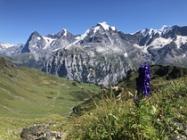 Switzerland - Eiger Monch and Jungfrau 