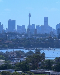 Sydney CBD as seen from Dudley Page Reserve 