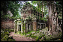 Ta Prohm Temple Siem Reap Province Cambodia 