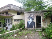 taken at an unused ashram in Rishikesh India known as the beatles ashram because the beatles stayed there for several months in the late s on a spiritual retreat i have more pics i can post upon request 