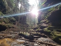 Taken at Conkles Hollow SNP Hocking Hills Ohio Unedited unfiltered  x IG brian_hikes