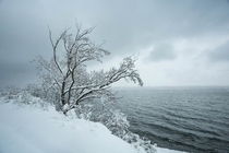 Taken during a snow storm on the shores of Cayuga Lake NY OC 