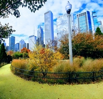 Taken from a path in Maggie Daley Park Chicago