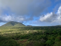 Taken in the highlands of Floreana Island in the Galpagos 