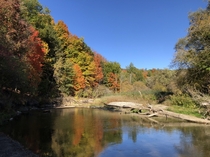 Taken on a hike last fall in Rouge National park in Toronto Canada  x  