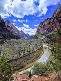 Taken on hike to upper emerald pools at Zion National Park  OC