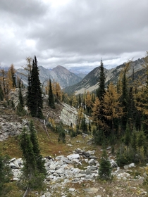 Tanglefoot pass on the Rocky Mountains in southeast British Columbia 