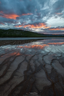 Terraced tendrils reaching for the sky Grand Prismatic Spring Yellowstone 