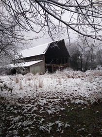 The abandoned barn on my property in Tennessee 