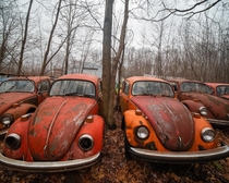 The abandoned buggies