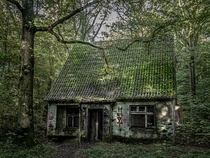 The abandoned suicide house in the forest
