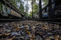 The Abandoned trolley cars