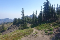 The alpine of Olympic National Park WA 