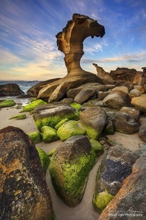 The amazing natural rock sculptures at the southern end of Hargraves Beach in Noraville on the Central Coast of New South Wales Australia 