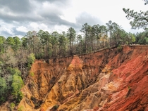 The aptly named Red Buffs in Mississippi aka the Grand Canyon of Mississippi aka the only canyon of Mississippi 