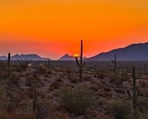 The Arizona Simmer - Gila Bend AZ 