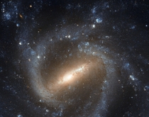 The Barred Spiral Galaxy - NGC  