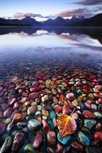 The beautiful and colorful Pebble Shore Lake in Glacier National Park Montana cross-post from rpics 