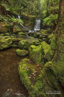 The beautiful and serene Horseshoe Falls in Mt Field National Park in Tasmania Australia 
