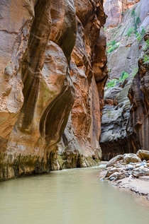 The Beautiful Colorful Walls of the Narrows Zion National Park UT 