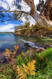 The beauty of Southport at the southern end of the Huon Valley in Tasmania Australia 