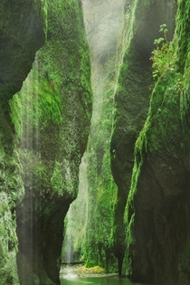 The beauty of the Oneonta Gorge within the Columbia River Gorge Oregon 