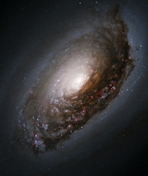 The Black Eye Galaxy M 