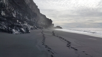 The black sand beaches of Dyrhlaey Iceland
