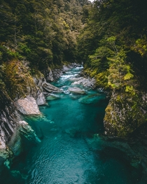 The Blue Pools of New Zealand could not be a more incredible color 
