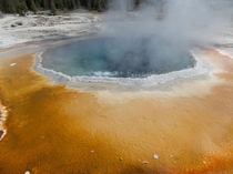 The boiling water of a hot spring in Yellowstone National Park 