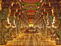 The breathtaking Pillar Hall in the Meenakshi Temple in MaduraiIndiaThe mandapam contains  delicately carved pillars Most of them depict mythological chimeras amongst others creatures with elephant heads and lion boddiesThe liquid impression results from 