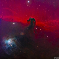 The Brilliant Horsehead Nebula is once again gracing the early morning sky Heres a look after  hours of exposure with an amateur telescope 