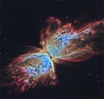 The butterfly  nebula