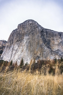 The Captain Yosemite Valley 