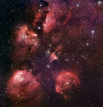 The Cats Paw Nebula NGC  ESO   rHI_Res link in comments