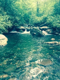 The clearest river water Ive ever seen nestled away running through The Great Smoky Mountains 