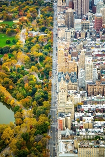 The collision of two worlds in NYC