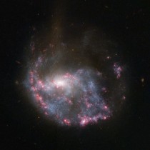 The Collisional Ring Galaxy 