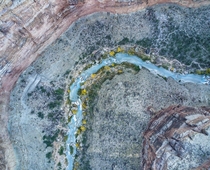 The Colorado River 