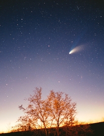 The Comet HaleBopp became a spectacular sight in early 