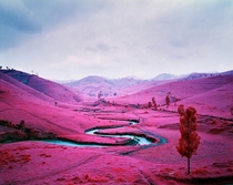 The Congo - The Color of War by Richard Mosse infrared 