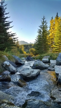 The creek that drains Johnson Lake just outside Banff Alberta OC x