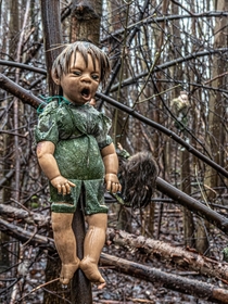 The creepy little forest of dolls in Germany 