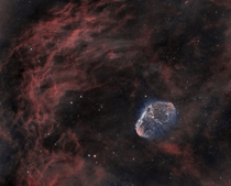 The Crescent Nebula  by Steve Furlong