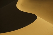 The curved crest of a sand dune in the Libyan Sahara desert  photo by Alfio Ansaloni