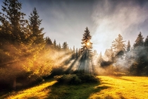 The early morning sun cuts through the mist near Golyam Beglik Bulgaria  by Evgeni Dinev