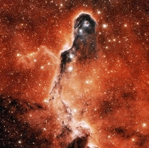 The Elephants Trunk Nebula or IC  Credit NASA Hubble