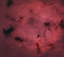 The Elephants Trunk Nebula Starless 