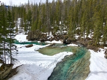The Emerald River in Banff National Park in Alberta is an incredible shade of bluegreen 